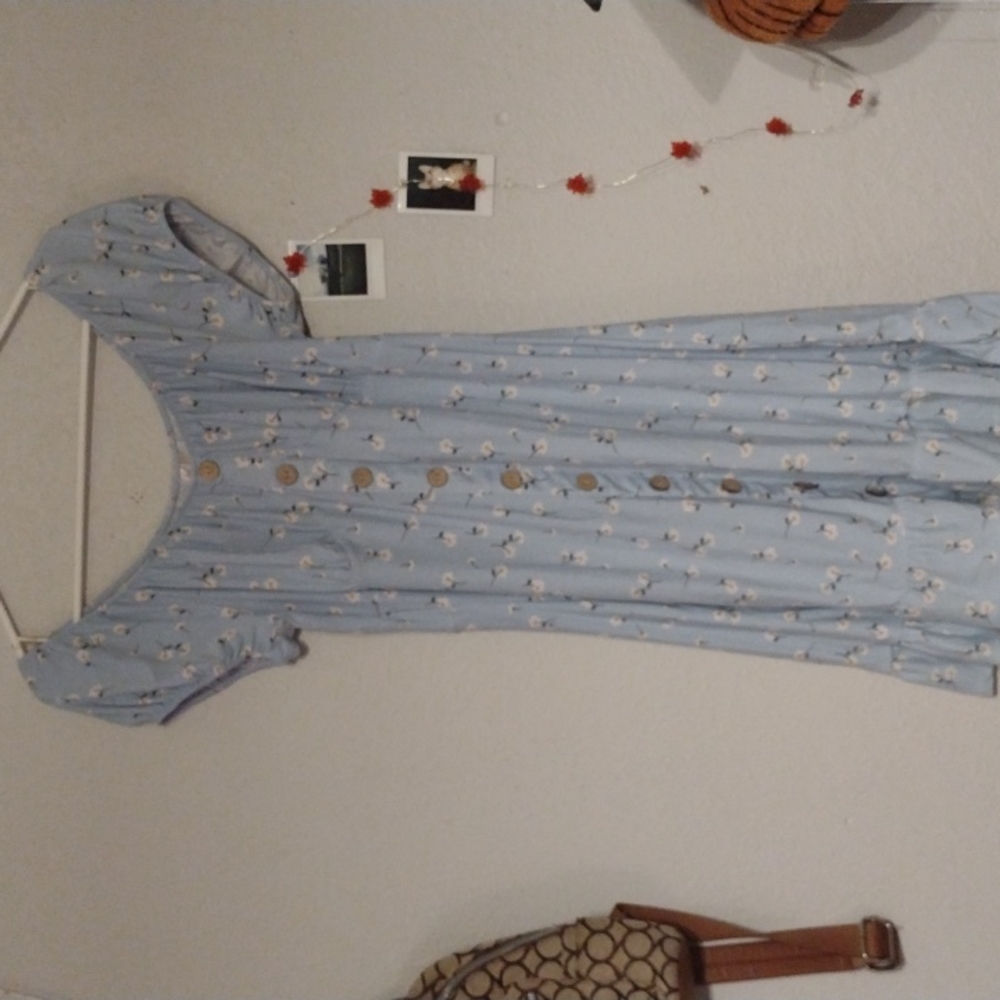 Blue dress with daisy's L